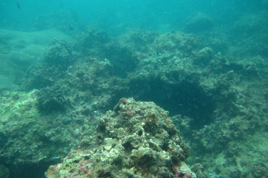 Coral Reef Restoration Project At Nakalay Beach